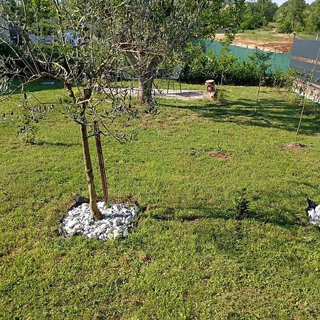 Apartman Jenny-Porec Kosinozici Luaran gambar